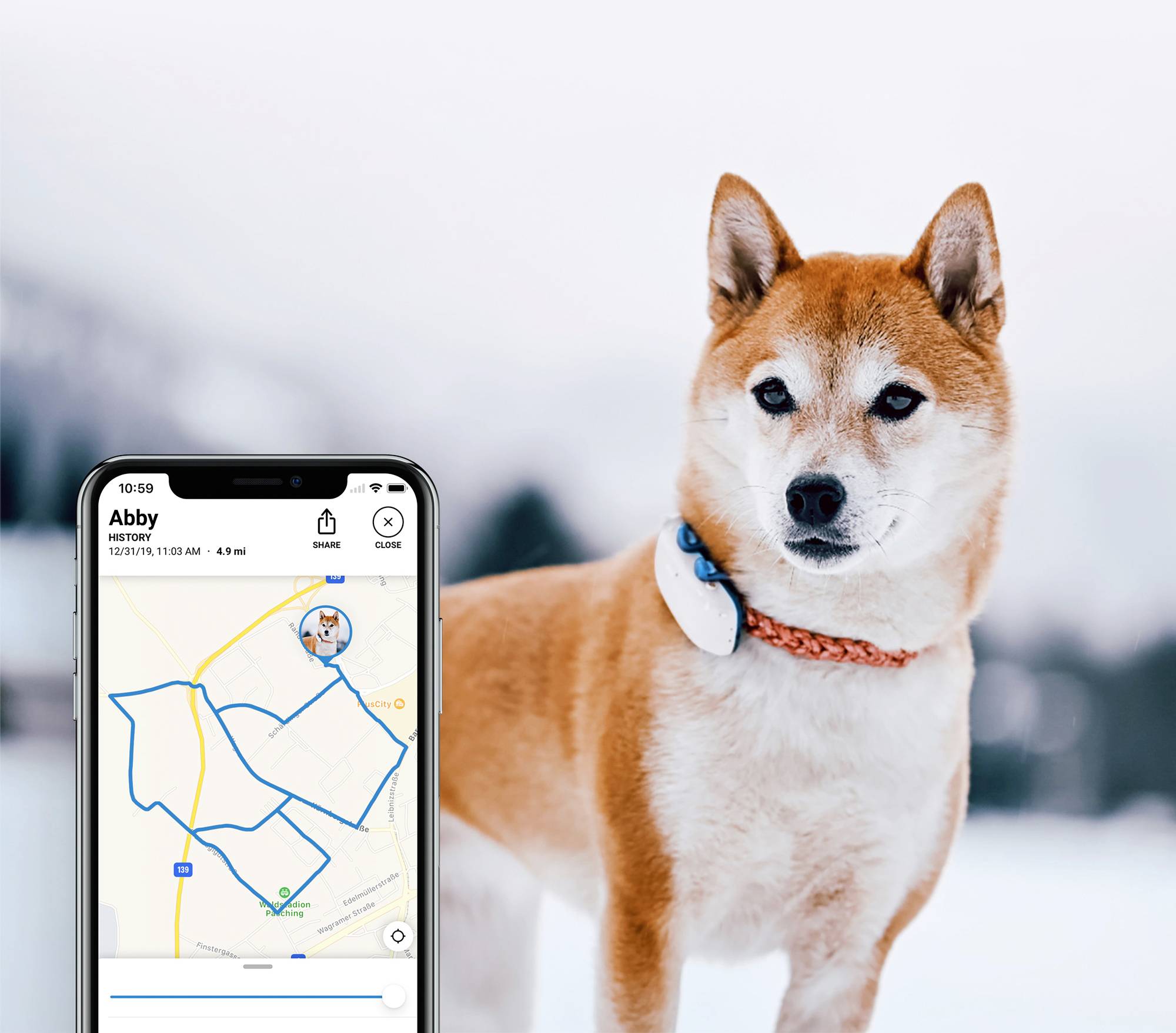 Tractive DOG 4 GPS Tracker Haustiertracker Weiß, Blau
