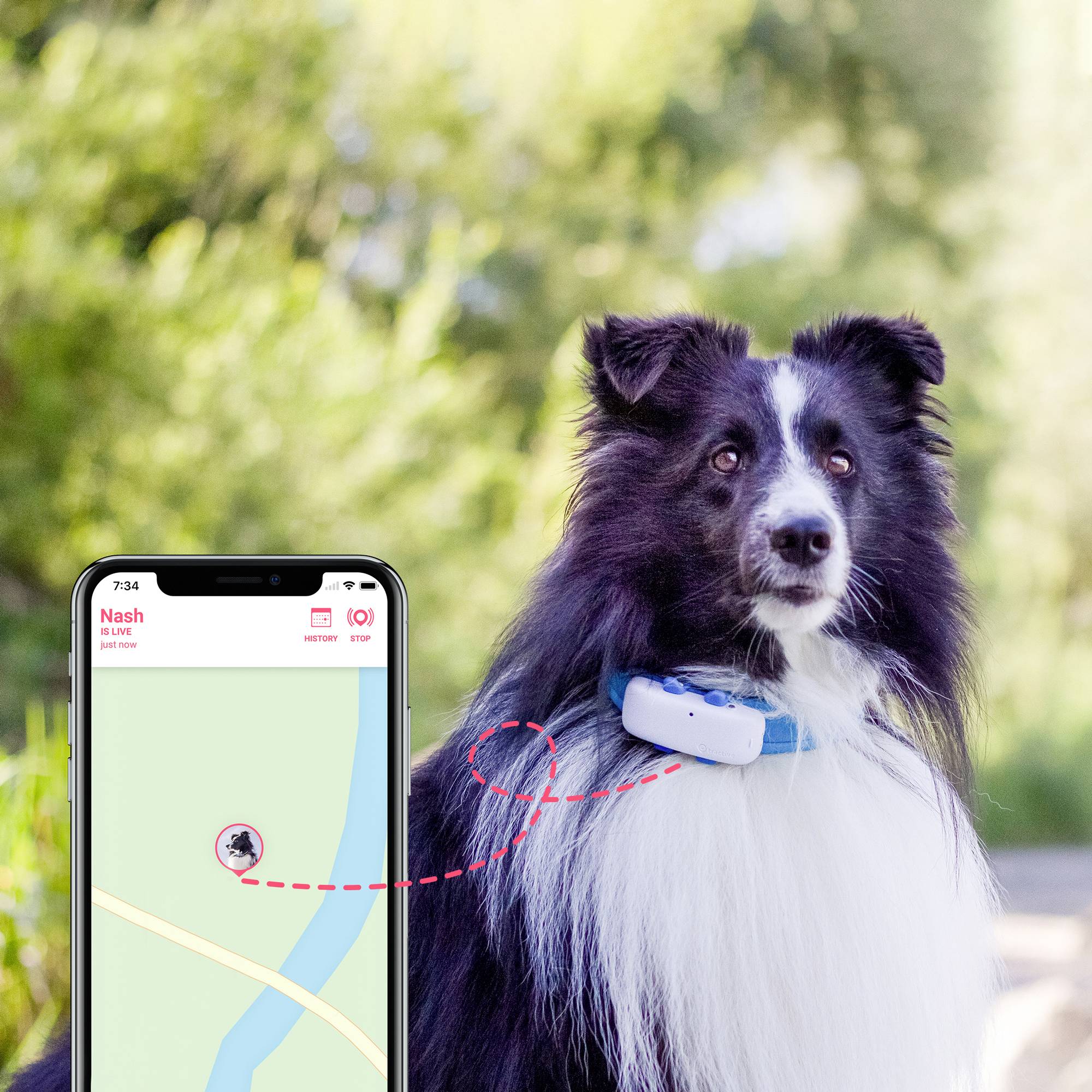 Tractive DOG 4 GPS Tracker Haustiertracker Weiß, Blau