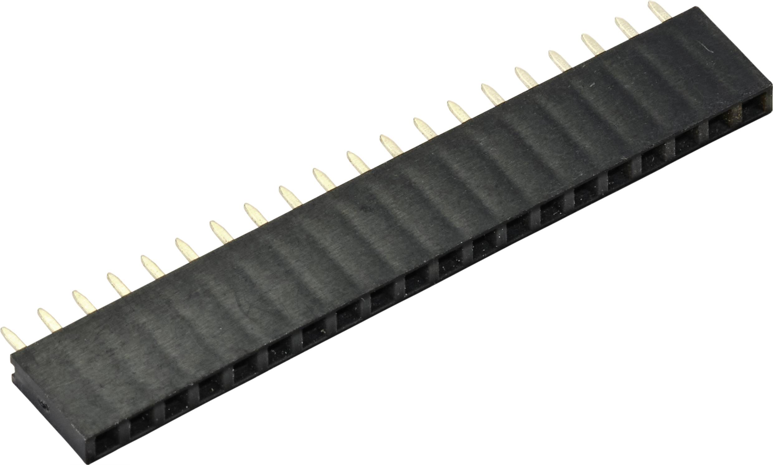 TRU COMPONENTS TC-9556696 Buchsenleiste (Standard) Anzahl Reihen: 1 Polzahl je Reihe: 20