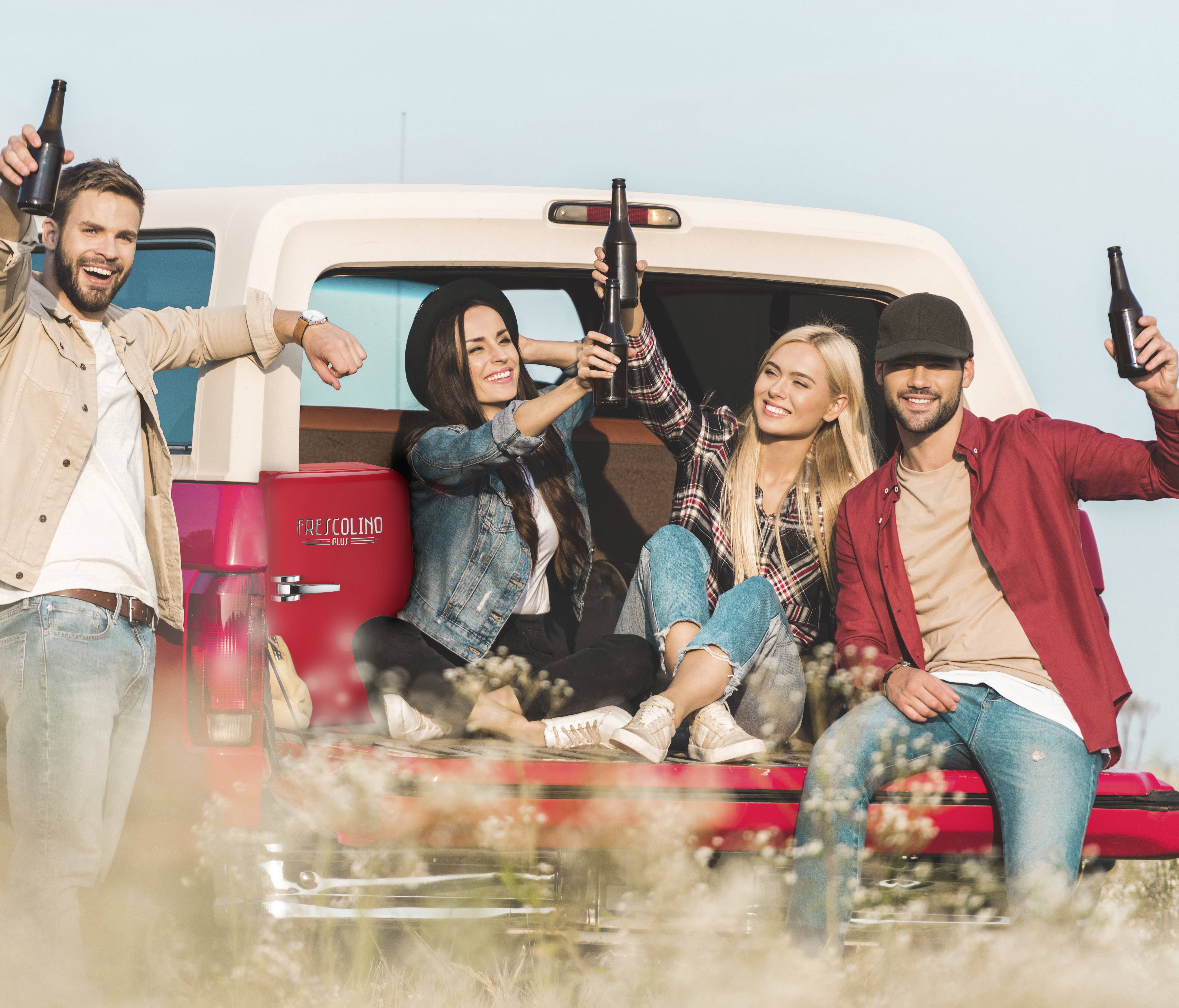 Trisa Frescolino Plus Minikühlschrank/Partykühler 12V Silber