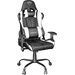 Trust GXT708W RESTO CHAIR WHITE Gaming-Stuhl Weiß/Schwarz Trust GXT708W RESTO CHAIR WHITE Gaming-Stuhl Weiß/Schwarz