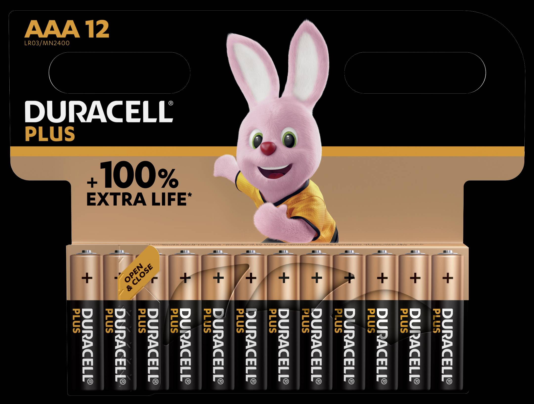 Duracell Plus-AAA CP12 Micro (AAA)-Batterie Alkali-Mangan 1.5V 12St.
