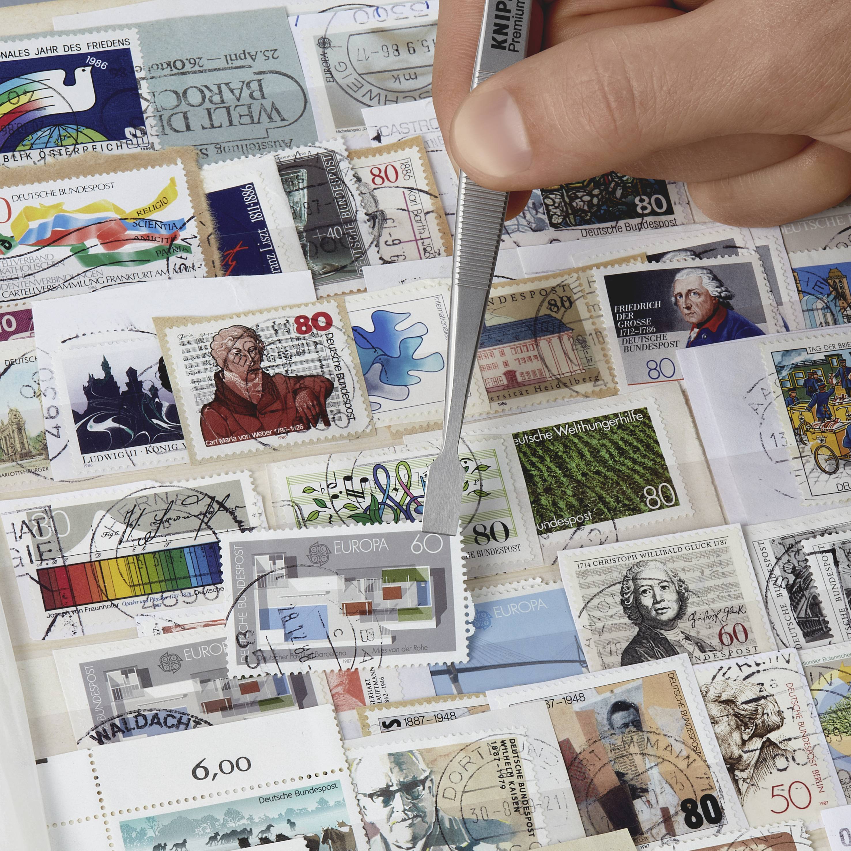 Knipex 92 01 05 Universalpinzette 1 Stück Stumpf 120 mm