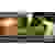 Bosch Home and Garden EasyCut12 Scie sabre sans fil 06033C9001920 12 V 2.5 Ah