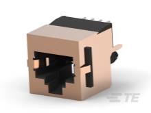 Ein Netzwerk-Anschlussmodul für Ethernet-Verbindungen mit RJ45-Buchse. Geeignet für die Integration in IT-Hardware und Kommunikationsnetze.