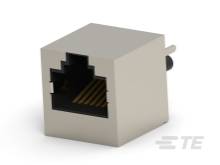 Ein RJ45-Adapter mit Netzwerkanschluss, rechteckig, zeigt die Kontaktstifte im Inneren. Hauptsächlich in Computernetzwerken verwendet.