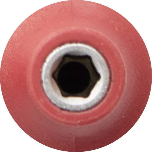 Rotes, rundes Objekt mit einem metallischen, sechseckigen Innenbereich, ähnlich einem Schraubenkopf.