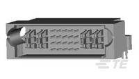 Computerport mit 24-poliger Buchse, geeignet für HDMI-Stecker, ermöglicht Audio- und Videoübertragung.