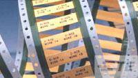 Filmrolle mit beschrifteten Abschnitten, die Datumsangaben von Dezember 1938 bis April 1942 zeigen. Historische Archivierung.