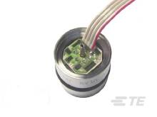 Ein kleiner runder Sensor mit mehreren Drähten ist über einen Steckanschluss verbunden. Gerätebestandteil oder technisches Bauteil.
