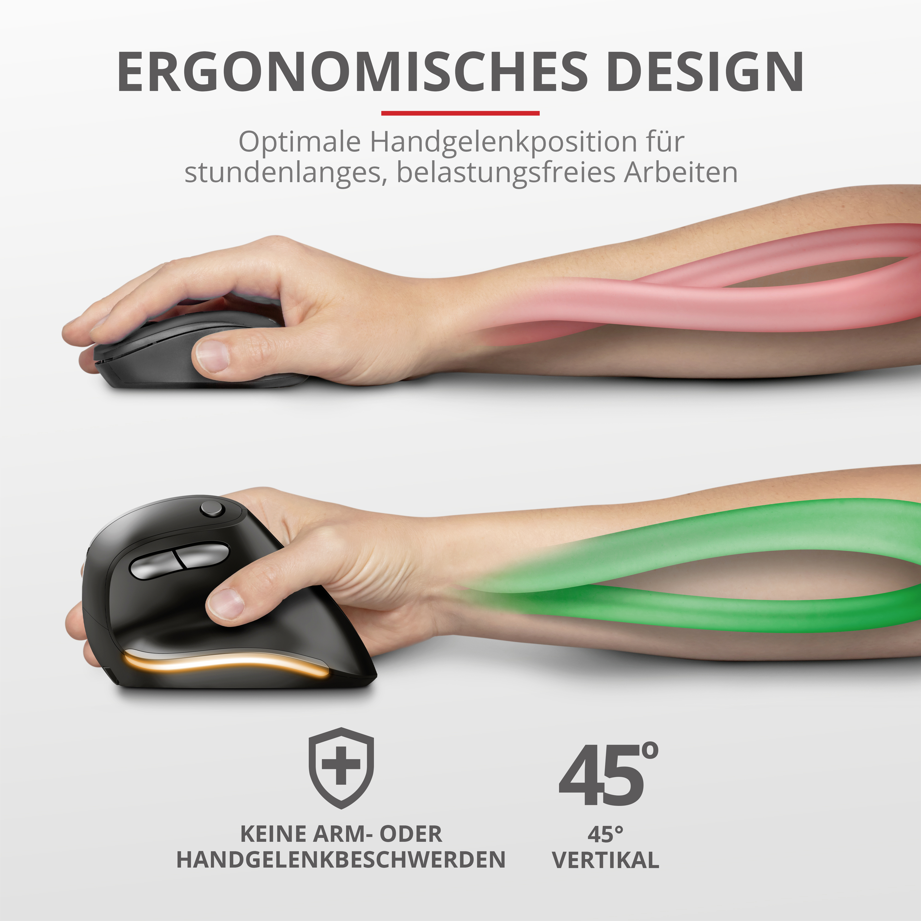Trust Bayo Ergonomische Maus Funk Optisch Schwarz 6 Tasten 2400 dpi Ergonomisch
