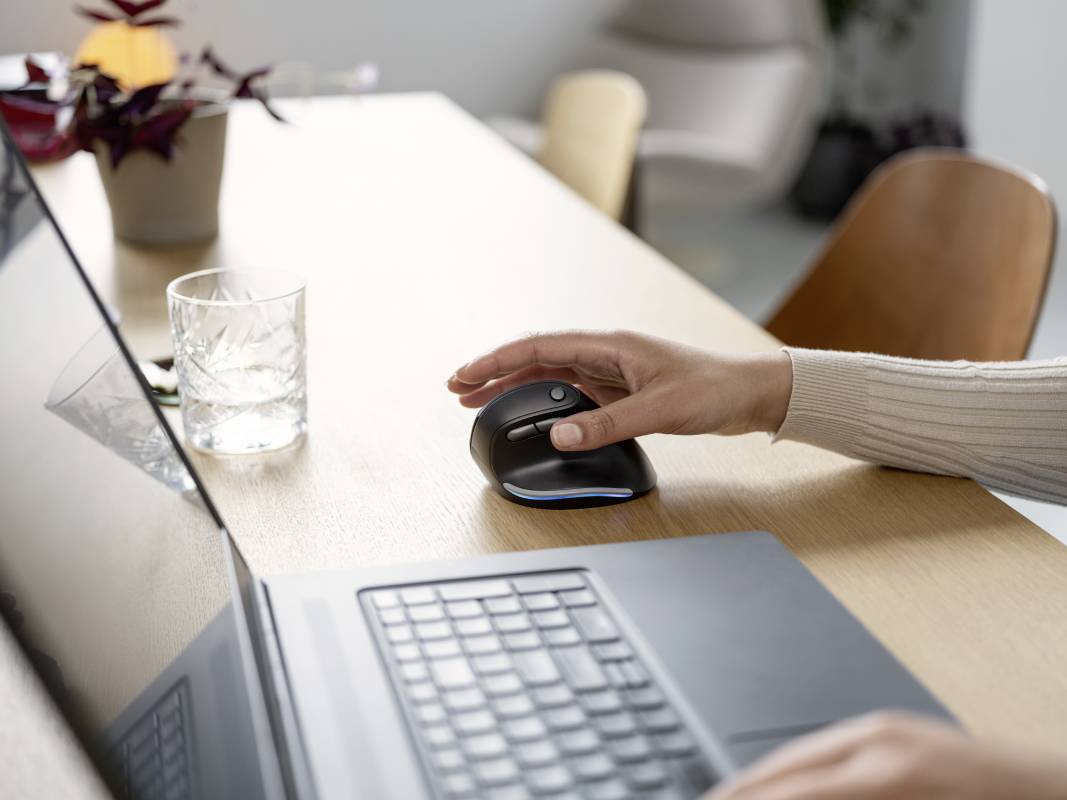 Trust Bayo Ergonomische Maus Funk Optisch Schwarz 6 Tasten 2400 dpi Ergonomisch