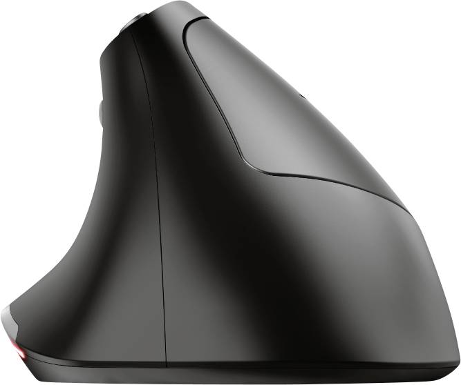 Trust Bayo Ergonomische Maus Funk Optisch Schwarz 6 Tasten 2400 dpi Ergonomisch