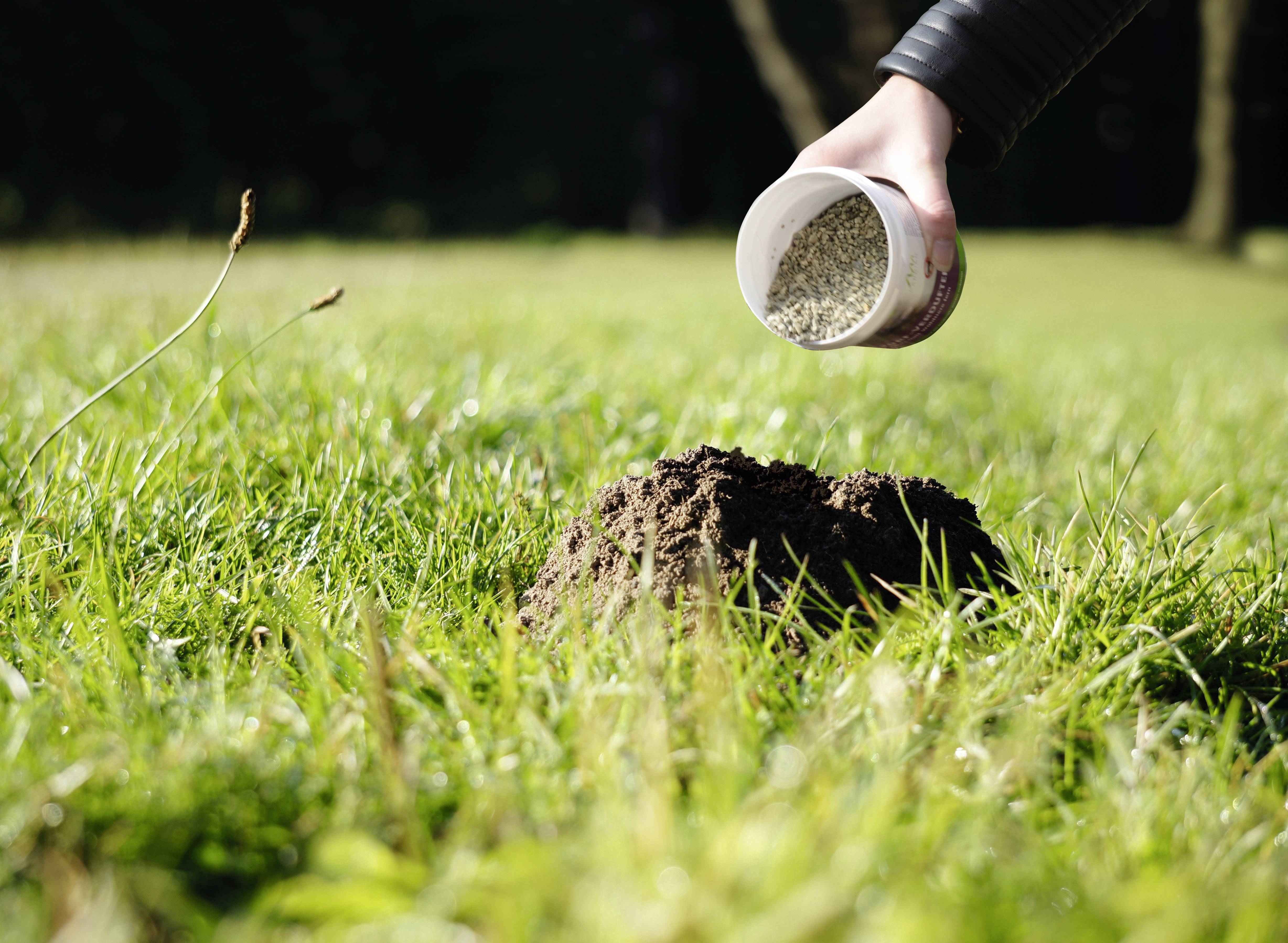 Gardigo Wühlmausvertreiber Funktionsart Abwehrstoff 300St.