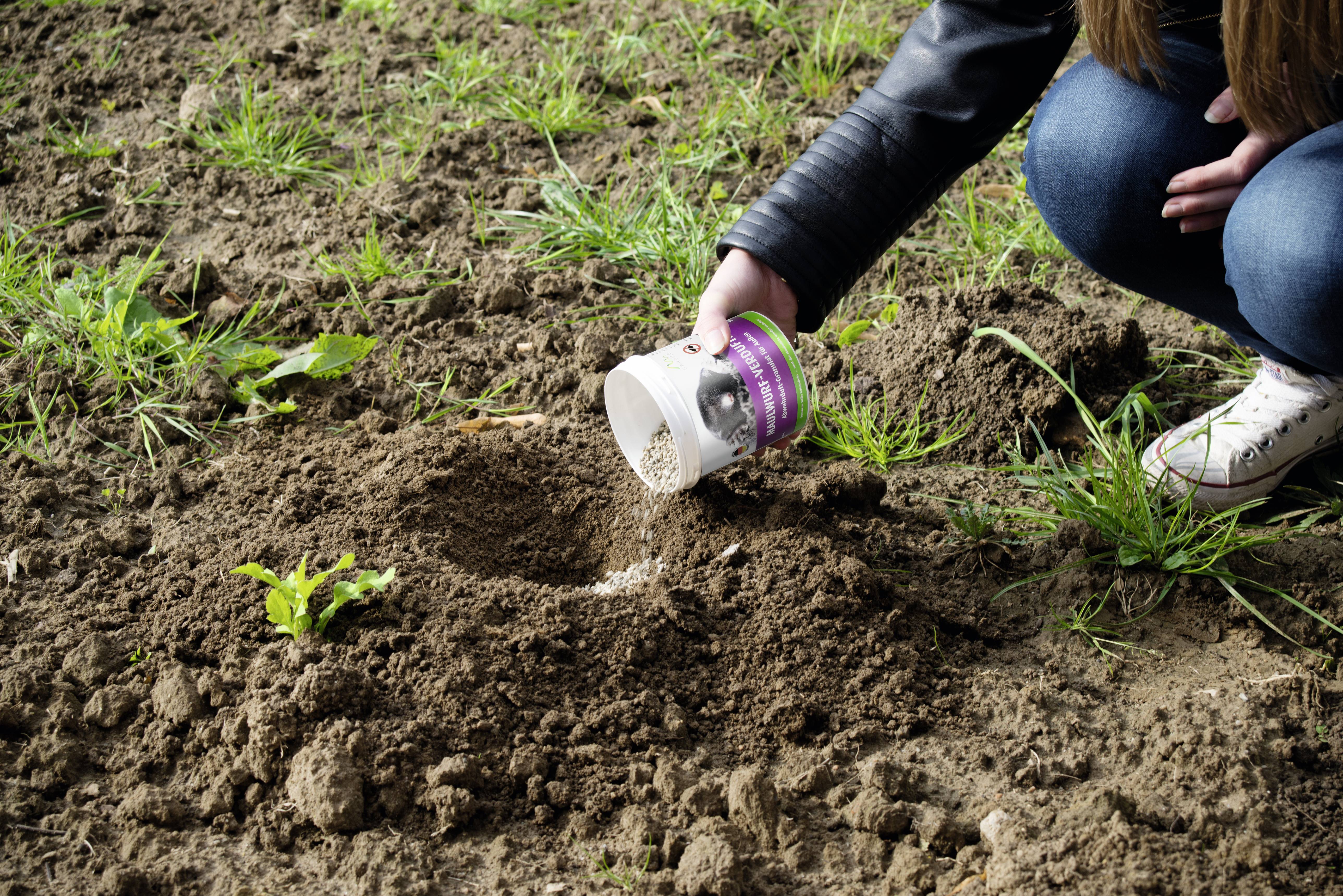 Gardigo Wühlmausvertreiber Funktionsart Abwehrstoff 300St.