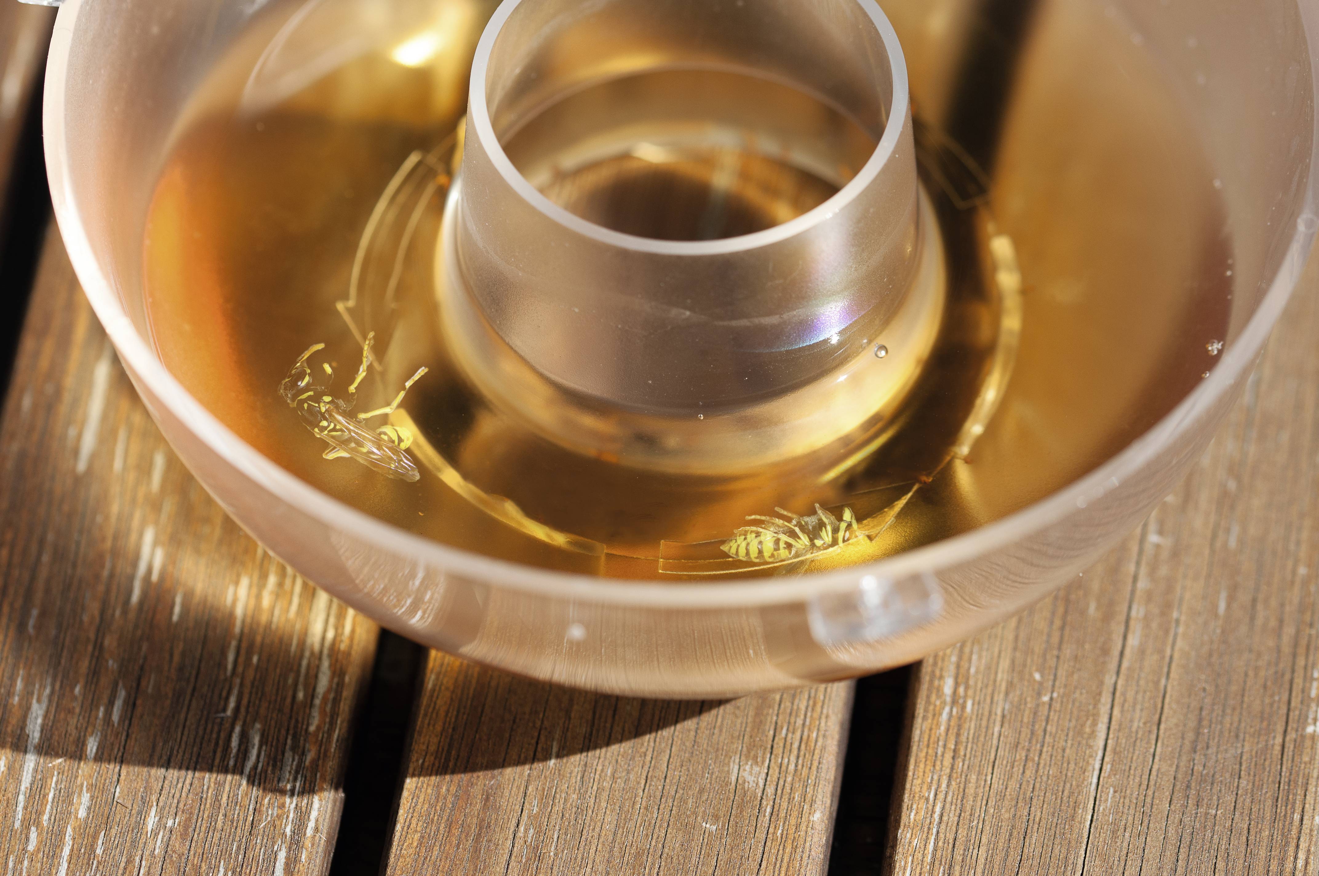 Gardigo 66653 Wespenlockstoff Lockmittel 100ml