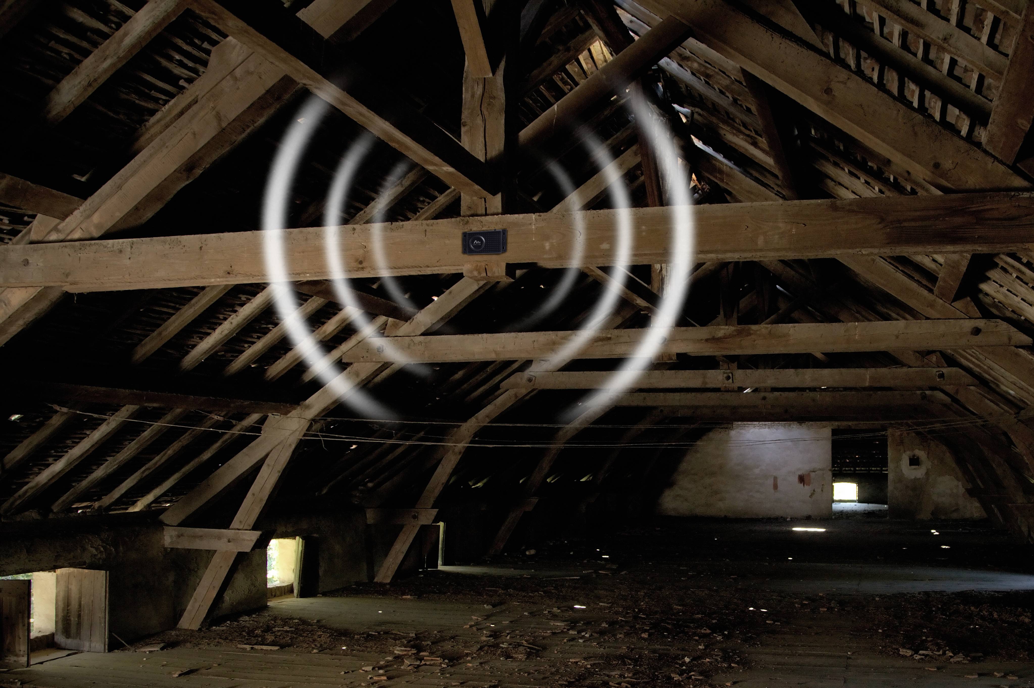 Gardigo Dual Marderabwehr Funktionsart Multifrequenz Wirkungsbereich 60m² 1St.