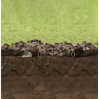 Gardigo Bayrische Wühlmausfalle 4St. Gardigo Bayrische Wühlmausfalle 4St.