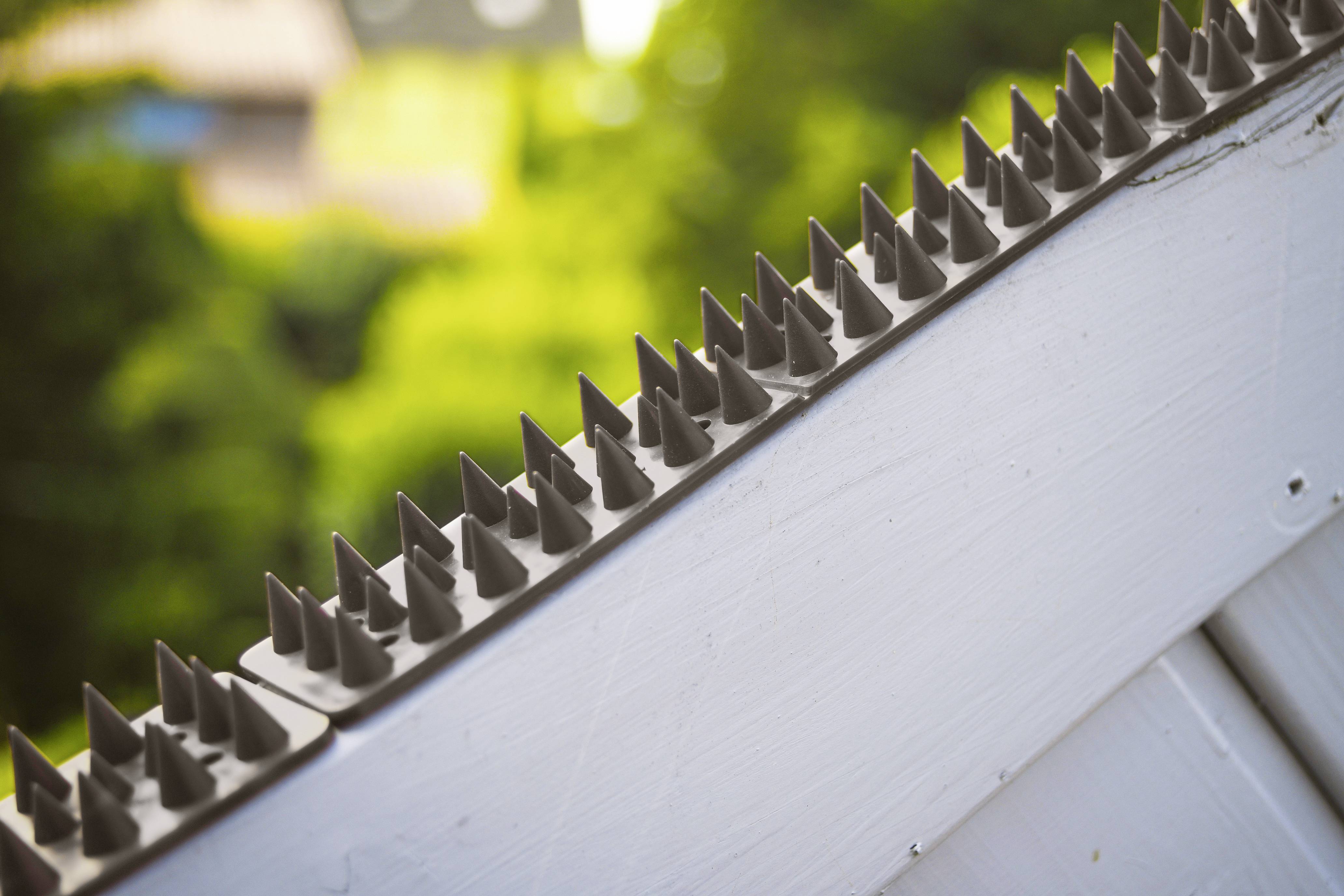 Gardigo Vogelvertreiber Funktionsart Abschreckung 20St.