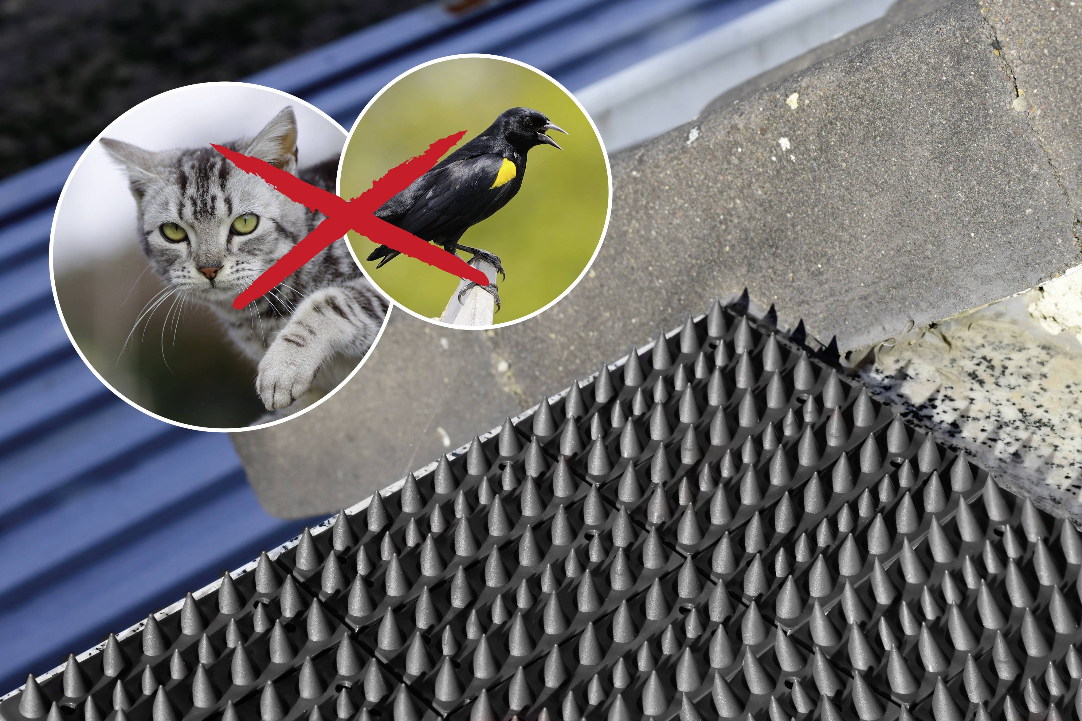 Gardigo Vogelvertreiber Funktionsart Abschreckung 20St.