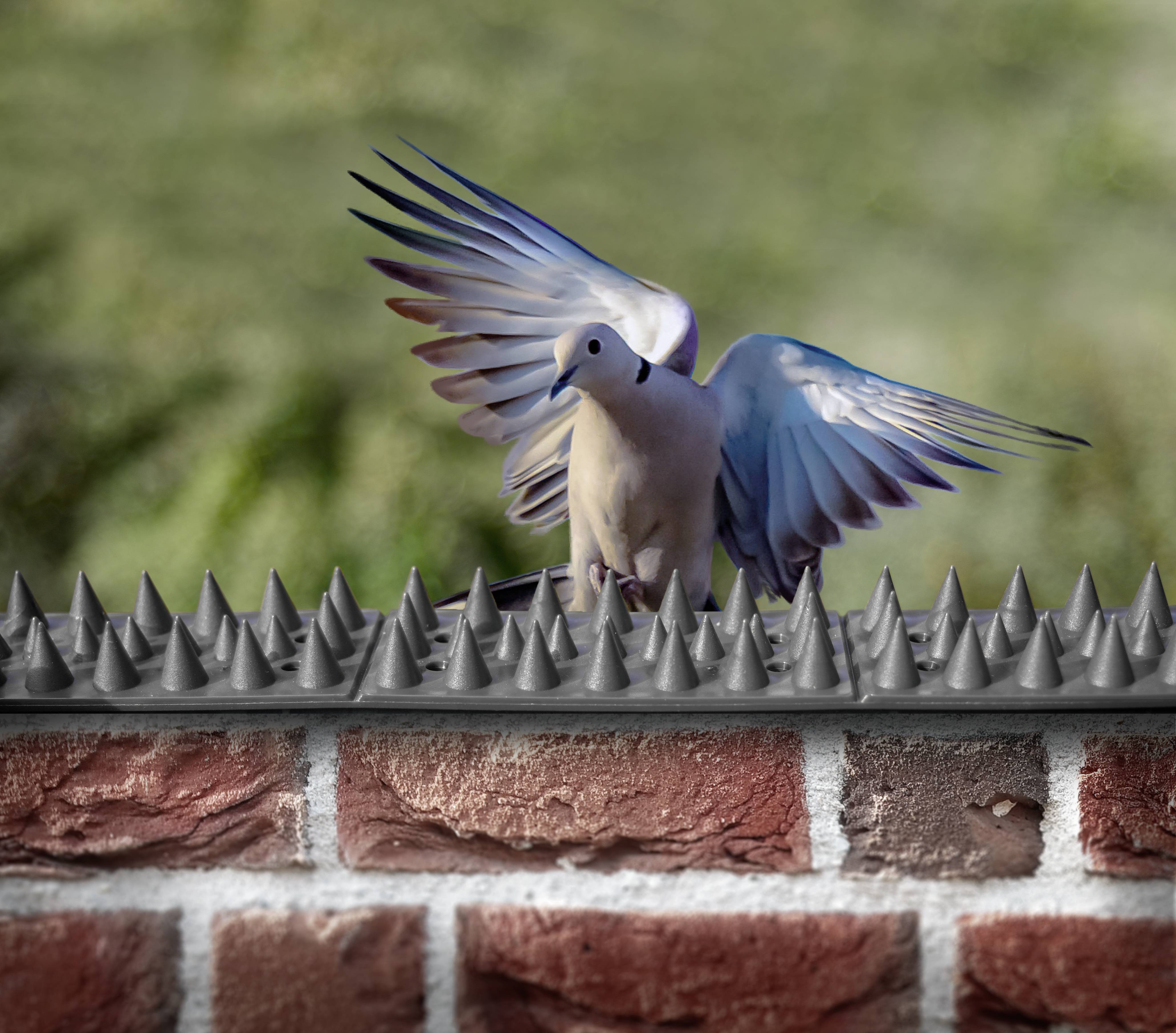 Gardigo Vogelvertreiber Funktionsart Abschreckung 20St.