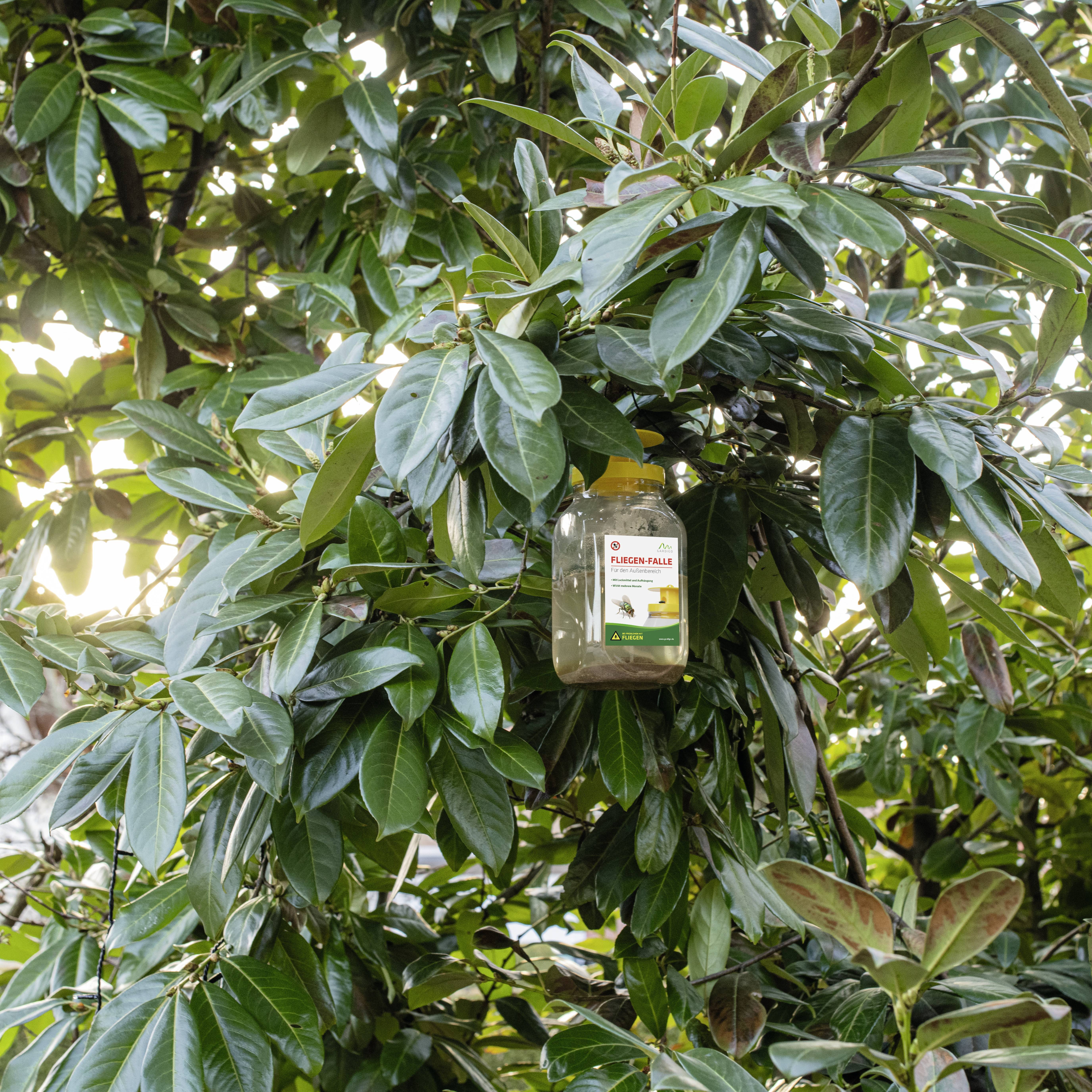 Gardigo 66805 Fliegenfalle Abwehrstoff (Ø x H) 86mm x 195mm 1St.