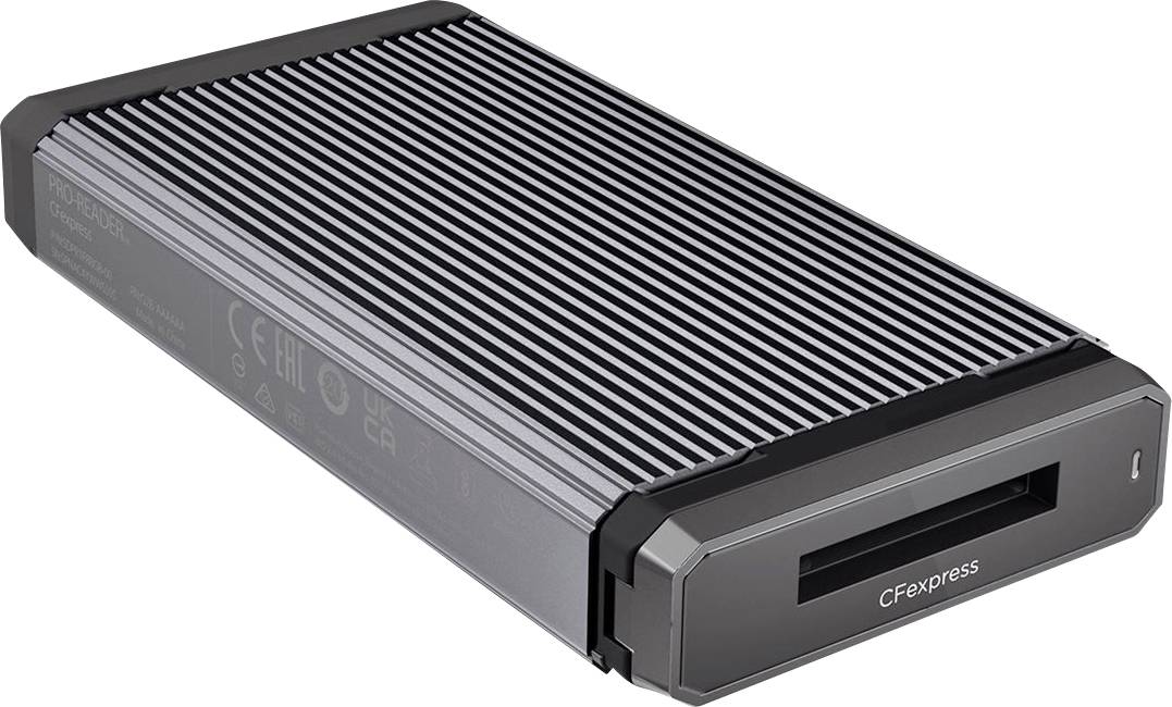 SanDisk Professional Pro-Reader CFexpress Externer Speicherkartenleser USB-A (USB 3.2 Gen 2) Space Grau