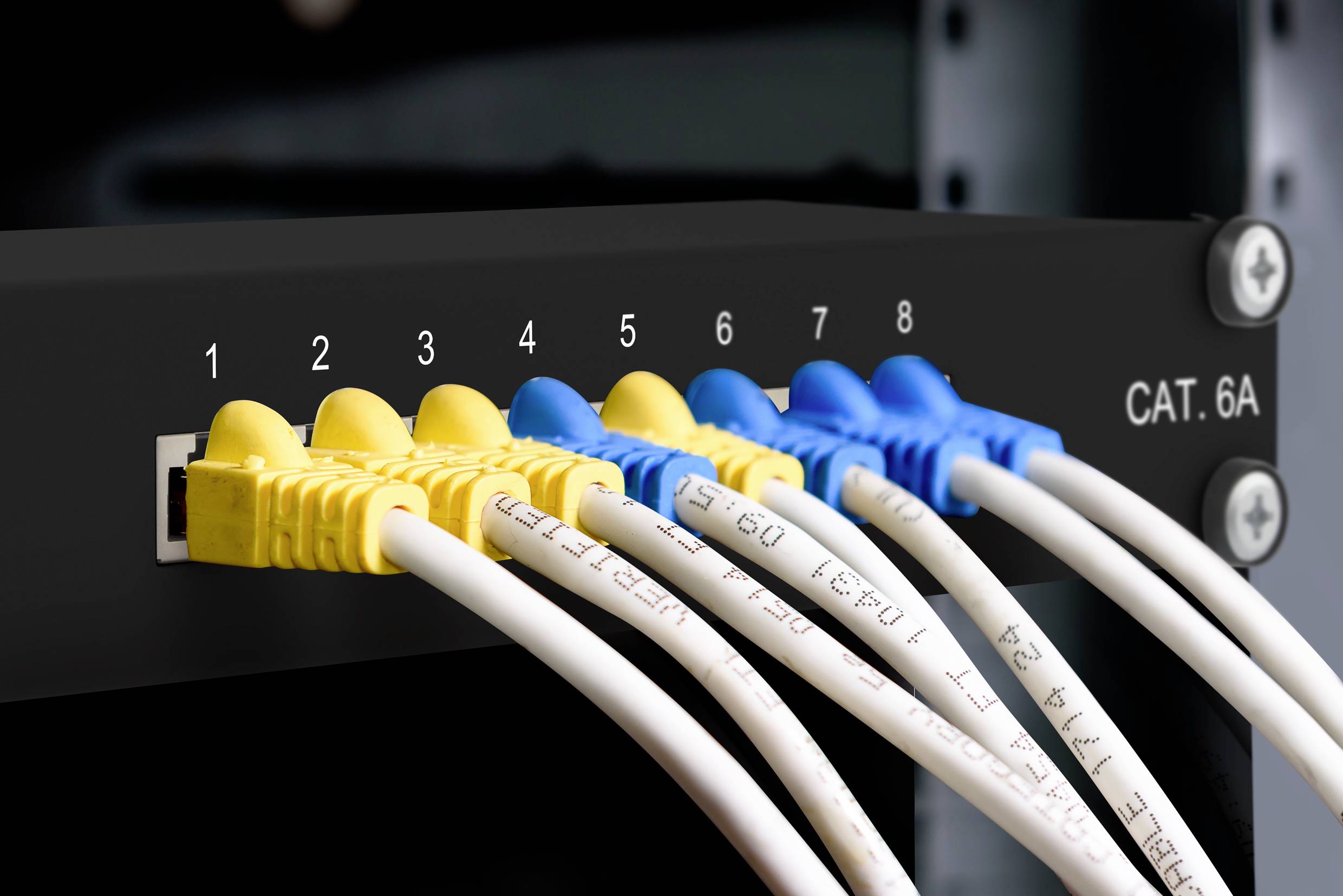Gelbes und blaues Ethernet-Kabel verbunden mit einem CAT 6A Netzwerk-Switch, nummeriert von 1 bis 8.