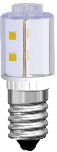 Signal Construct MBRE140864A LED-Lampe Weiß E14 24 V DC/AC