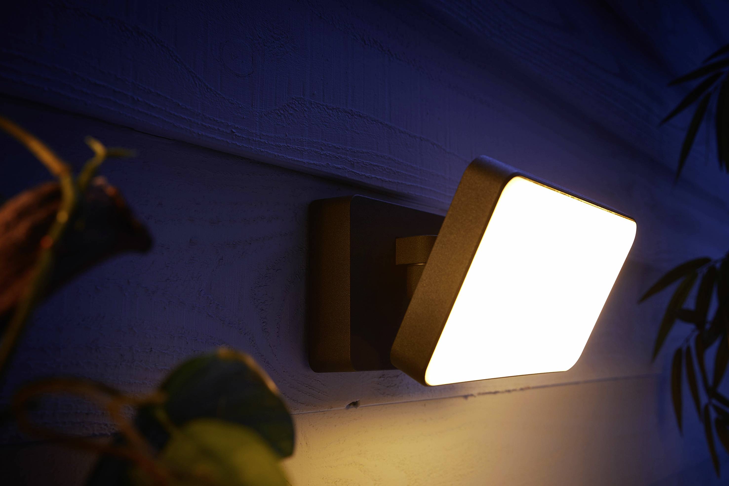 Wandleuchte strahlt warmes Licht aus, beleuchtet eine Wand und umgebende Pflanzen im Hintergrund.