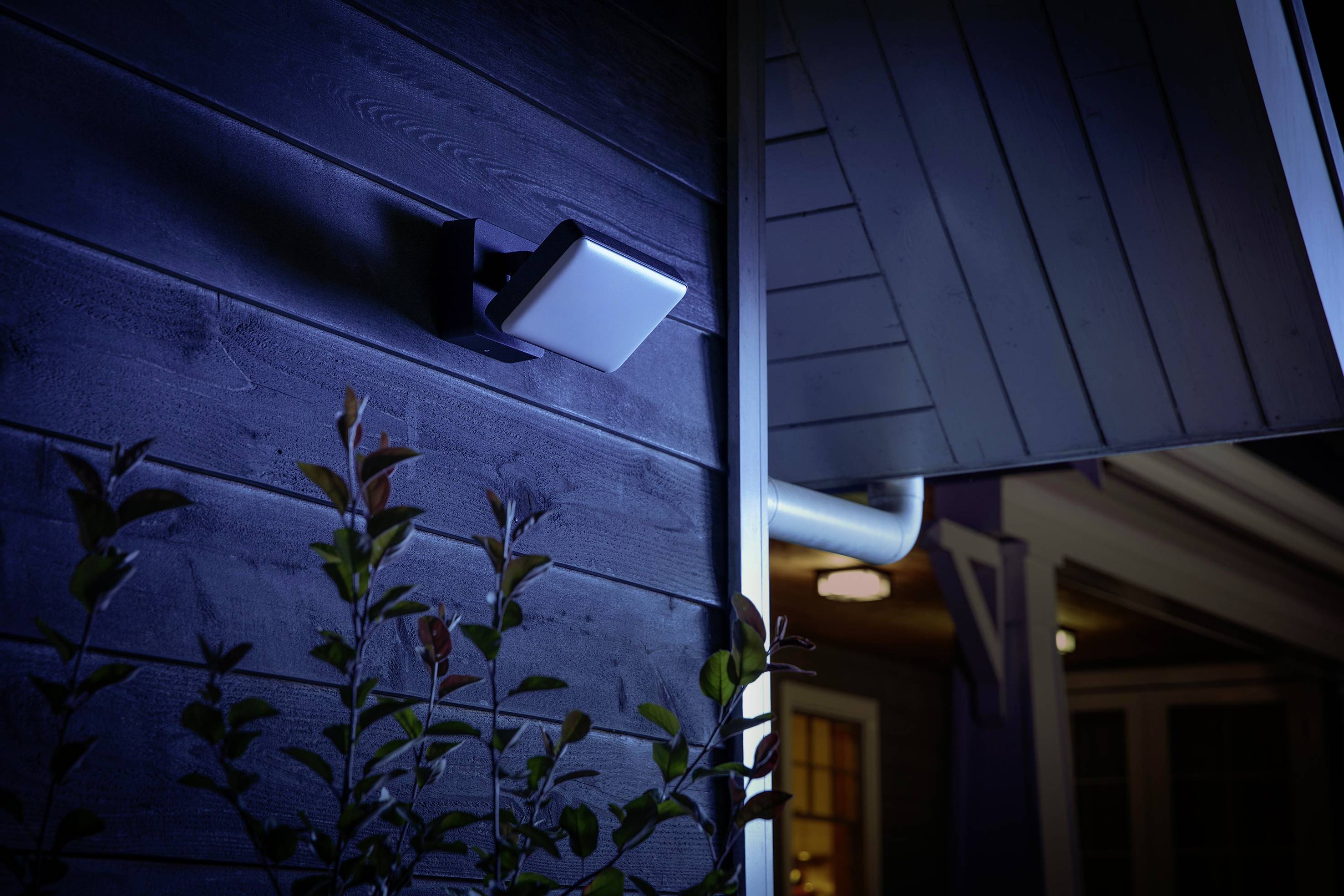 Eine Außenwand mit einem eingeschalteten Flutlicht bei Nacht. Pflanzen sind im Vordergrund zu sehen, das Hausdach im Hintergrund.