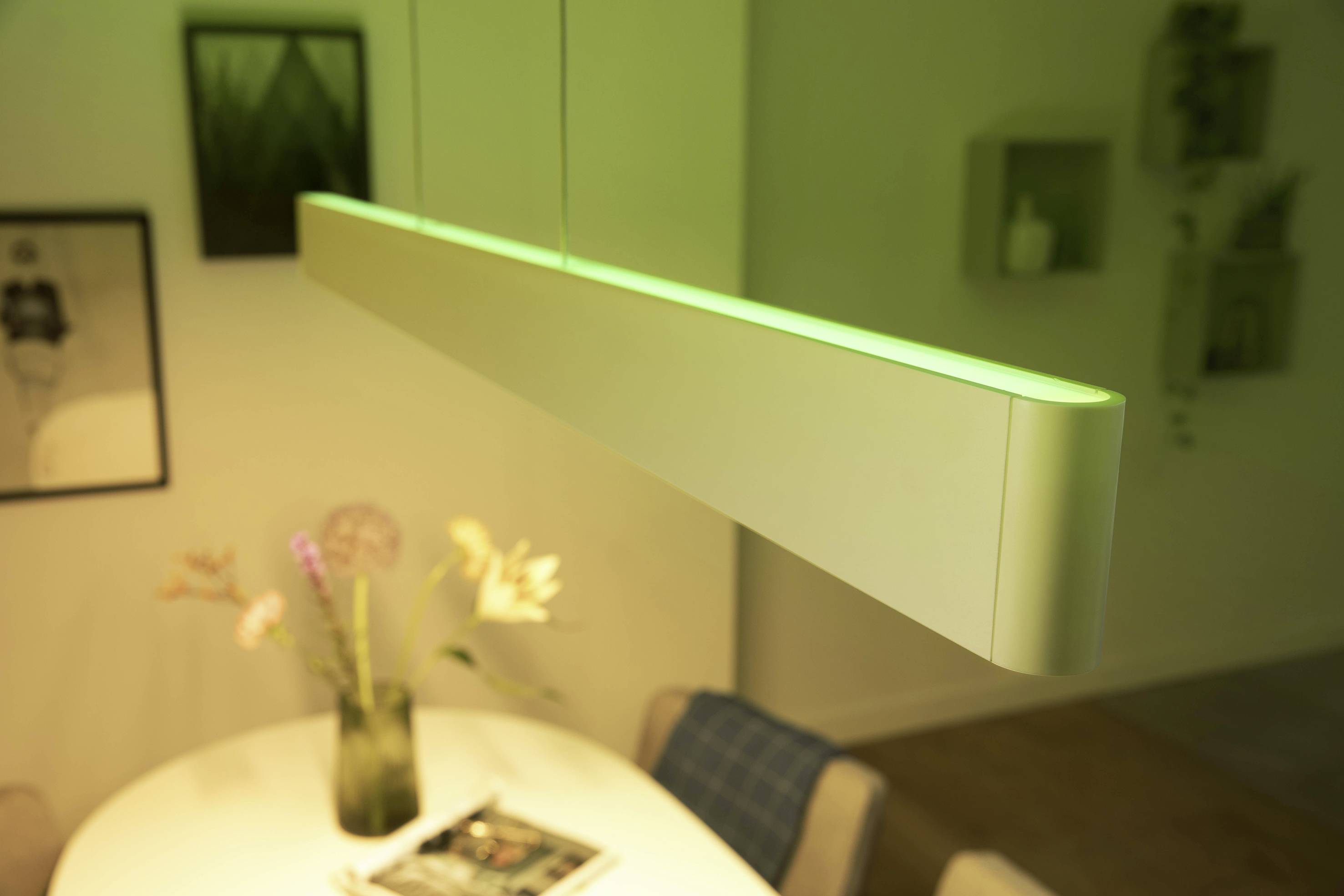 Philips Hue Ensis pendant white 2x39W 24V