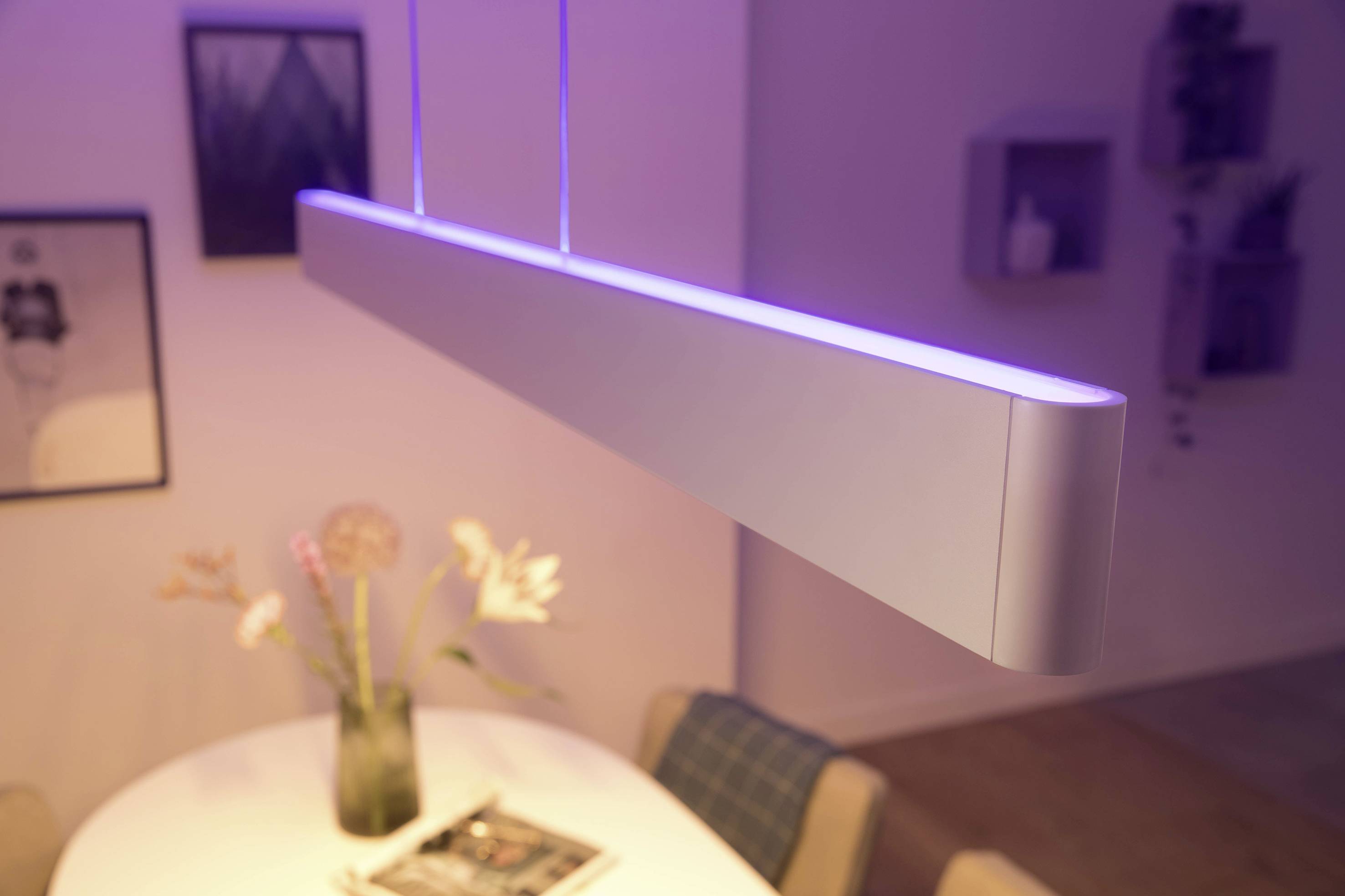Philips Hue Ensis pendant white 2x39W 24V