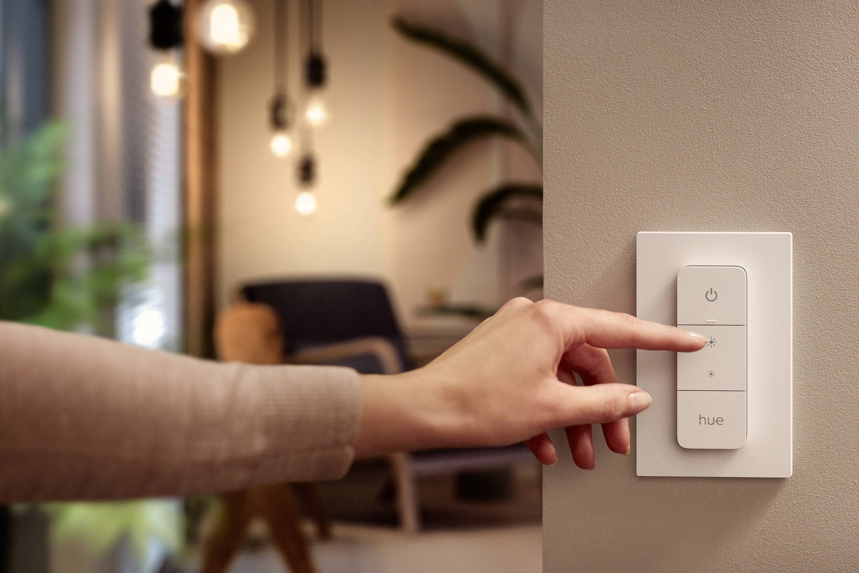Eine Person drückt einen Schalter an einer Wand, um das Licht in einem Wohnraum mit Pflanzen im Hintergrund einzuschalten.