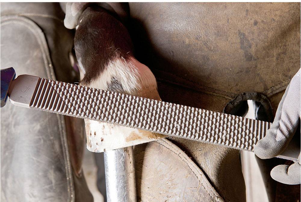 PFERD TOOLS 13180351 Hufhobel Länge 350mm 1St.