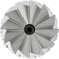 PFERD TOOLS 21100246 Frässtift Zylinder Länge 55mm Produktabmessung, Ø 6mm Arbeits-Länge 16mm Schaftdurchmesser 6mm PFERD TOOLS 21100246 Frässtift Zylinder Länge 55mm Produktabmessung, Ø 6mm Arbeits-Länge 16mm Schaftdurchmesser 6mm