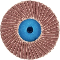 PFERD 42719112 CD PFF 50A 120 Fächerschleifscheibe Durchmesser 50mm Bronze, Titan, Titanlegierung, Kupfer, Messing, Edelstahl PFERD 42719112 CD PFF 50A 120 Fächerschleifscheibe Durchmesser 50mm Bronze, Titan, Titanlegierung, Kupfer, Messing, Edelstahl