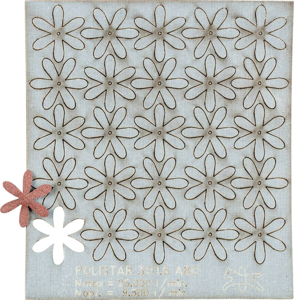 PFERD 42730308 Schleifsterne Durchmesser 30mm 100St.