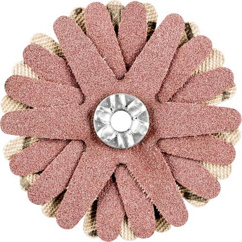 PFERD TOOLS 42732068 Schleifsterne Durchmesser 50 mm 10 St.