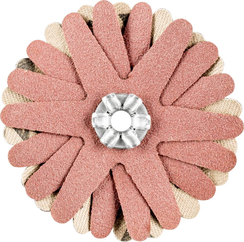 PFERD 42732069 Schleifsterne Durchmesser 50mm 10St.