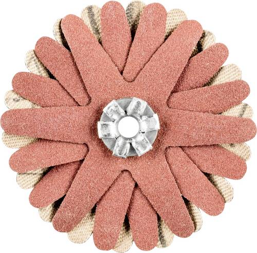 PFERD TOOLS 42732070 Schleifsterne Durchmesser 50 mm 10 St.