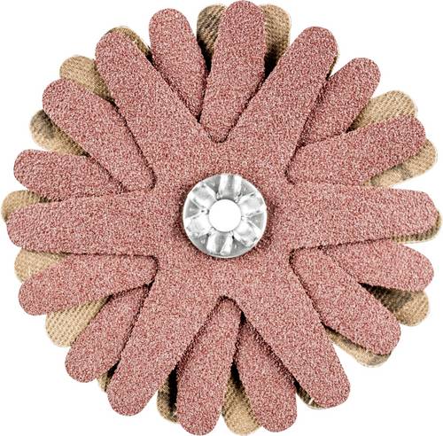 PFERD TOOLS 42732086 Schleifsterne Durchmesser 60 mm 10 St.