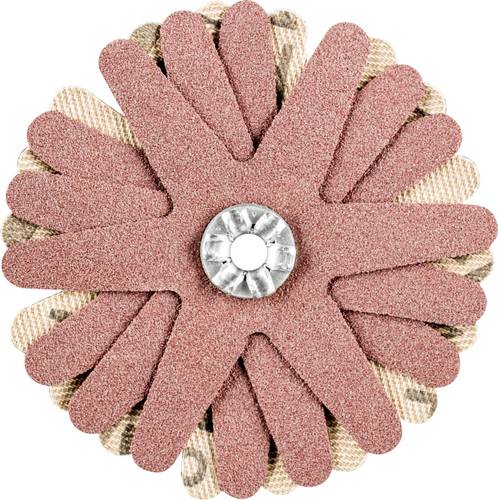 PFERD TOOLS 42732088 Schleifsterne Durchmesser 60 mm 10 St.
