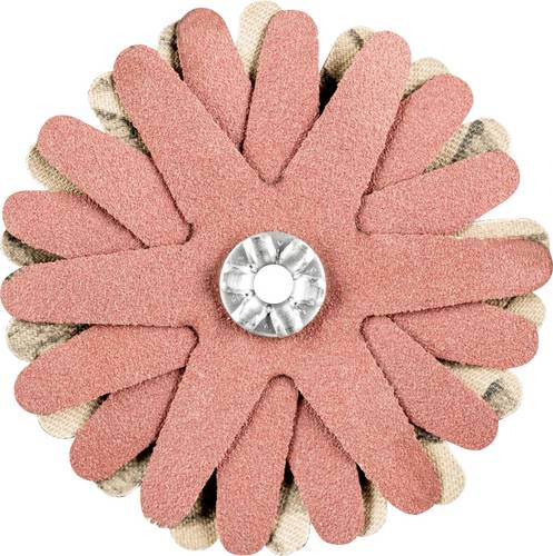PFERD TOOLS 42732089 Schleifsterne Durchmesser 60 mm 10 St.