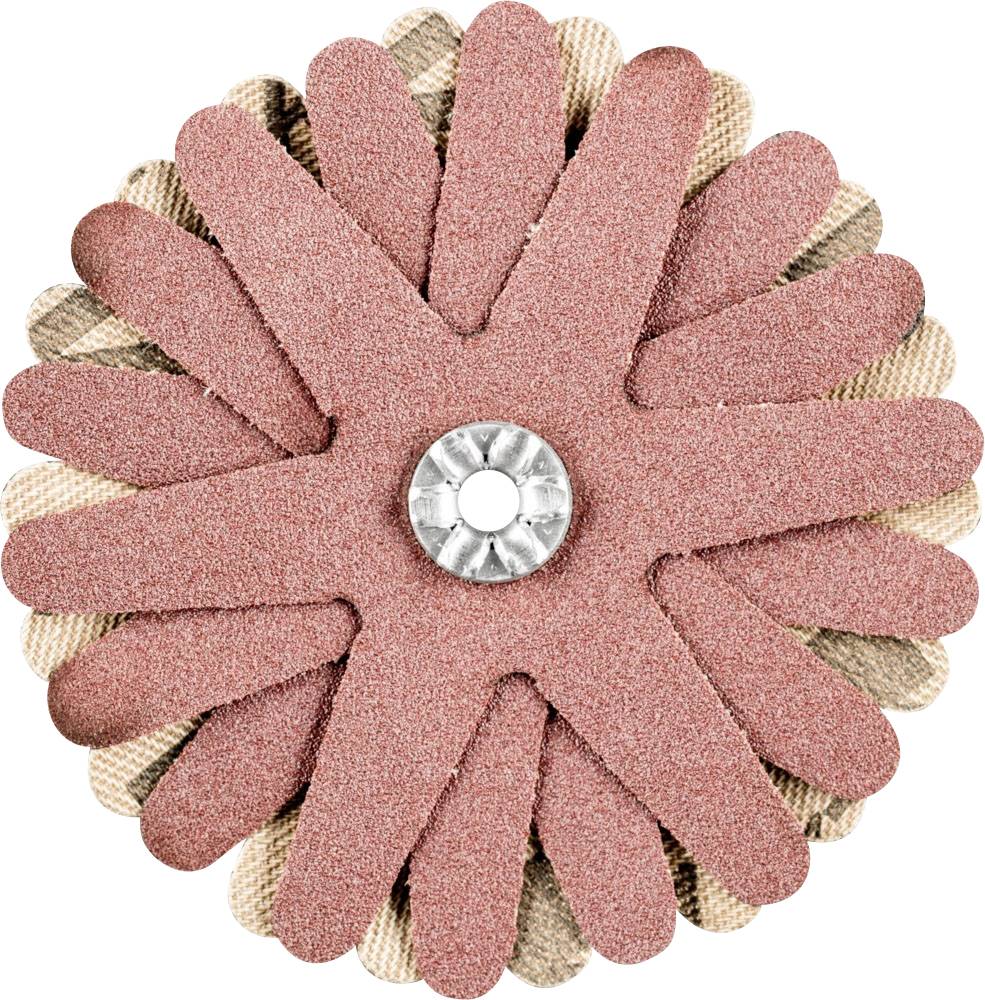 PFERD 42732108 Schleifsterne Durchmesser 70mm 10St.