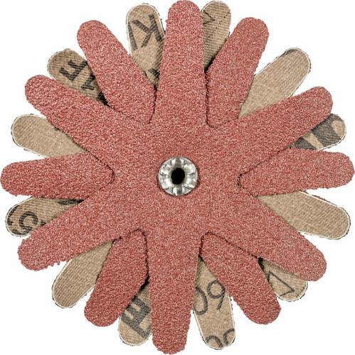 PFERD TOOLS 42732163 Schleifsterne Durchmesser 100 mm 10 St.