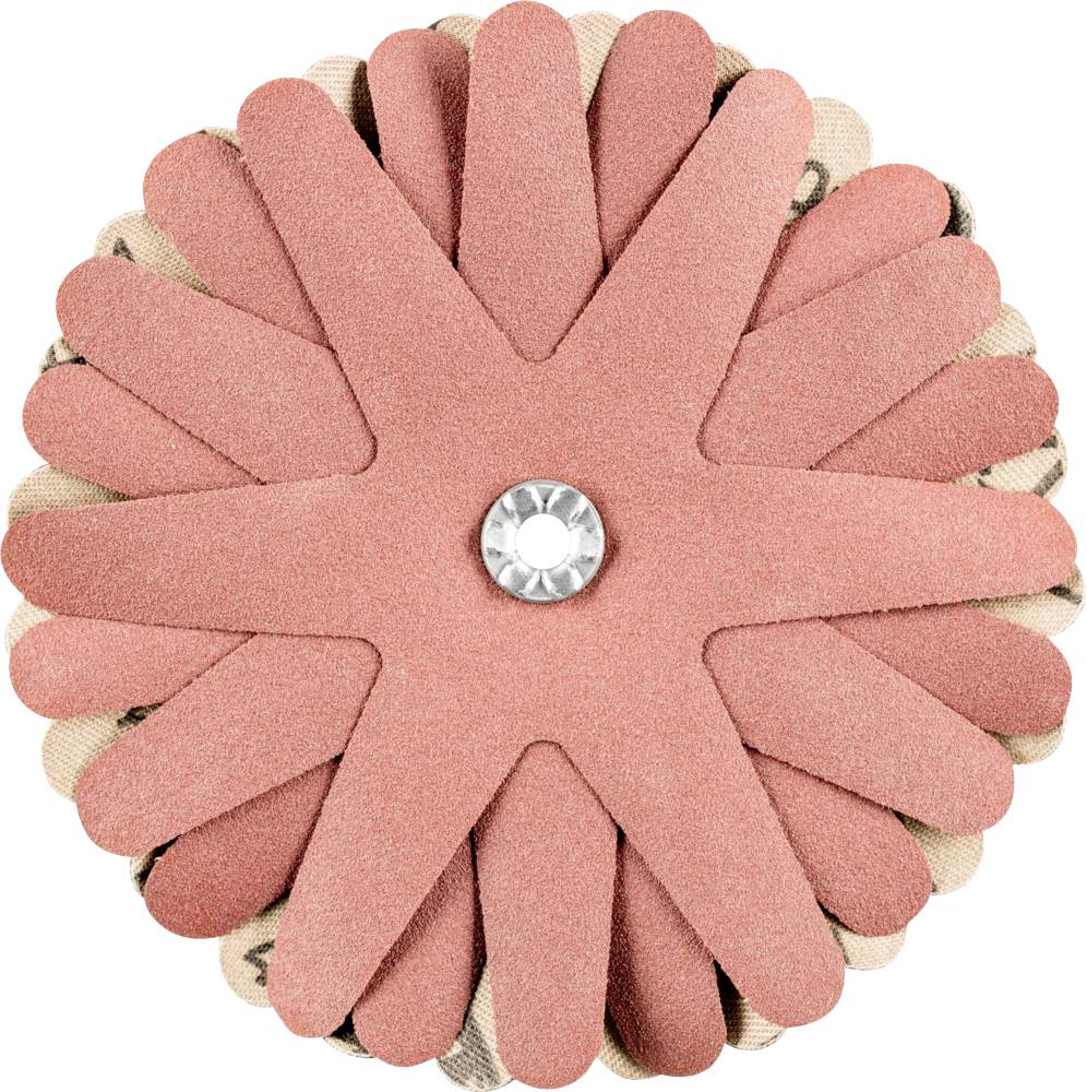 PFERD 42732169 Schleifsterne Durchmesser 100mm 10St.