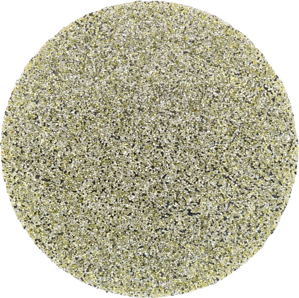 PFERD TOOLS CD DIA 38 D 251 - P 60 42740004 Schleifblatt Körnung (num) 251 (Ø) 38mm 10St.