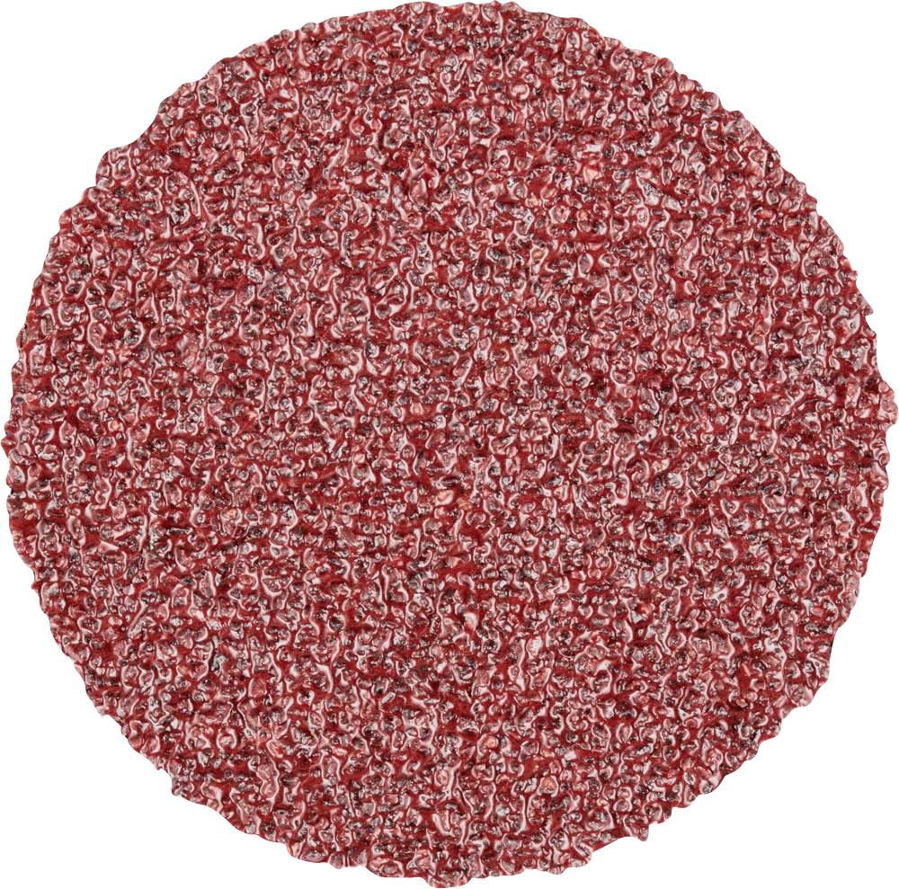 PFERD TOOLS CD 25A 60 FORTE 42751306 Schleifblatt Körnung (num) 60 (Ø) 25mm 100St.