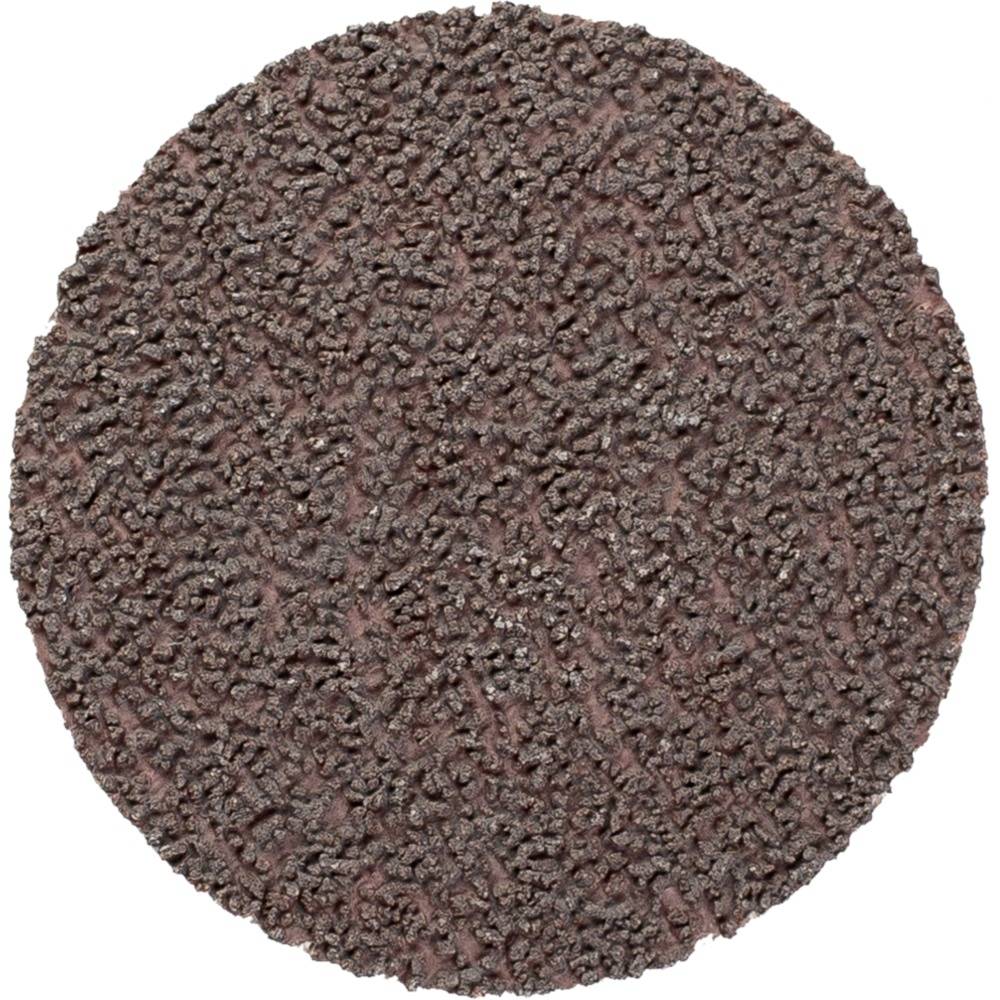 PFERD TOOLS CD 50A 800 CK 42755080 Schleifblatt Körnung (num) 800 (Ø) 50mm 100St.